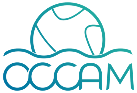 OCCAM

El contenido generado por IA puede ser incorrecto.
